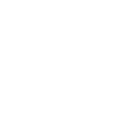 Specialized